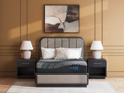 Millennium 2.0 Hybrid 12 Inch Mattress - Sims Furniture
