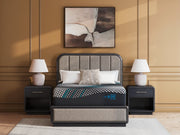 Millennium 2.0 Hybrid 14 Inch Mattress - Sims Furniture