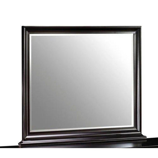 New Classic Belle Rose Landscape Mirror in Black Cherry Finish - Sims Furniture
